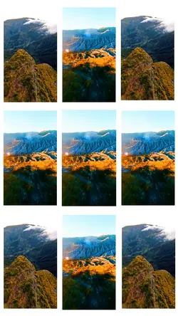 19 videos or photos 