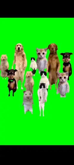 もうわけわからん！