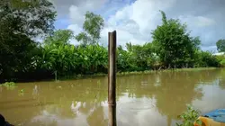 1 vd cảnh sông nc