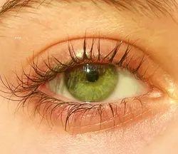 eye filter