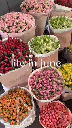 Life recap