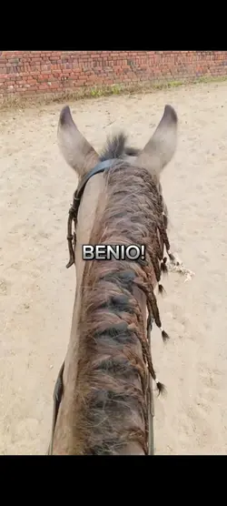 BENIO!