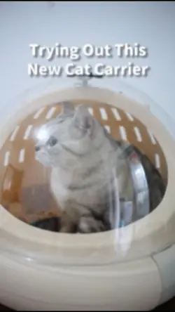 Trying Out This New Cat Carrier
