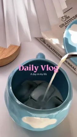 Daily Vlog