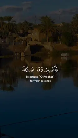 واصبر وما صبرك 🌺