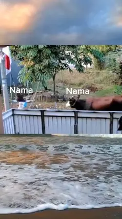 Teks bisa diganti 