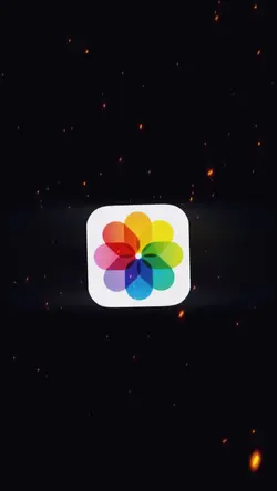 Camera Roll