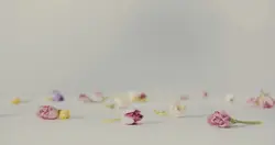 Wedding 3 videos