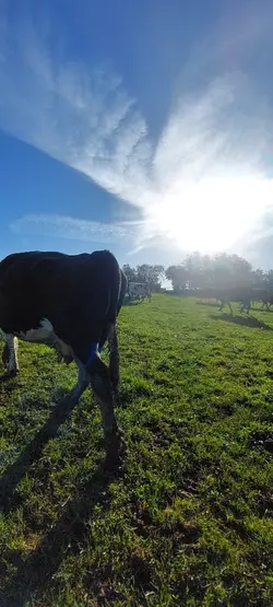 Farming