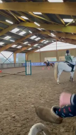 progression cheval