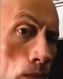 The Rock x Vache