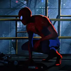 SPIDER-MAN