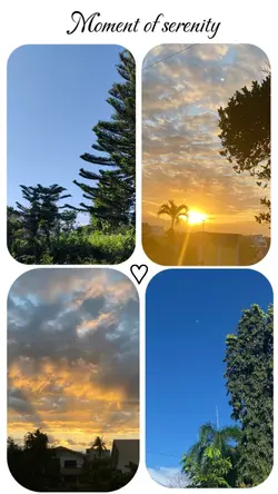 sunset / nature