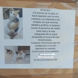 la verdad las cosas 