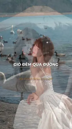 Kìa ngàn ngôi sao