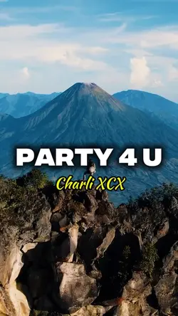 Party 4 U Charli XCX
