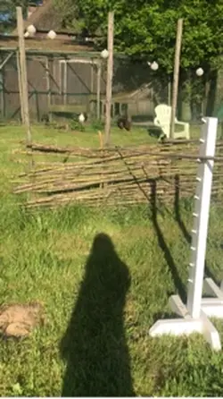 Jump met hondjes