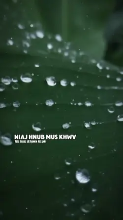 Niaj hnub mus khwv