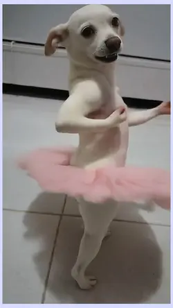dance