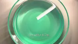 나는 6힉년 최고봉