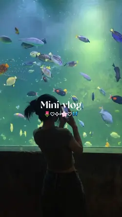 Minivlog 13clips