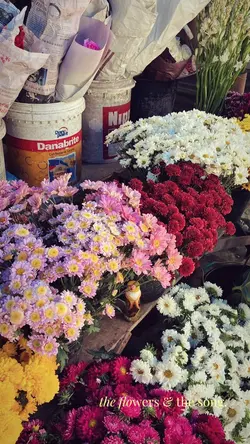 the flowers & the so