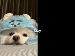 lazy confession
