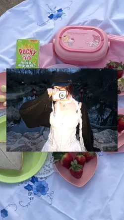 picnic season ⋆˚✿˖°
