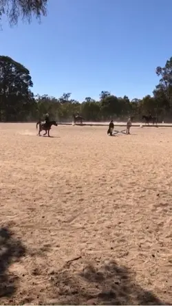Ponyclub
