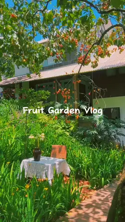 Fruit Garden Vlog