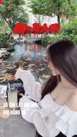 Bạn Tình Ơi - 1pic 