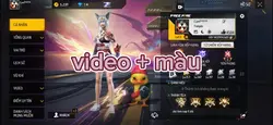 video + màu
