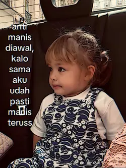 NO MIRROR ANTI MANIS