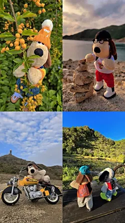 4 Pict UHD FILTER