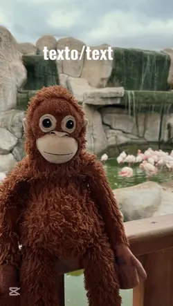 stuffed monkey