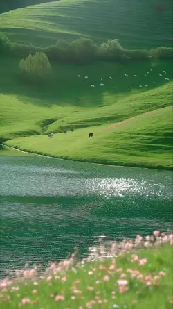 Mẫu nhẹ nhàng