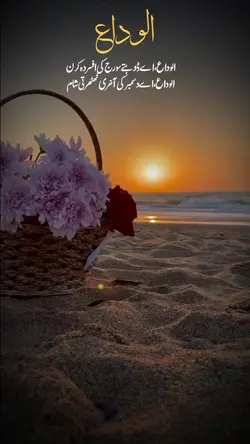 Alvida December Eve 
