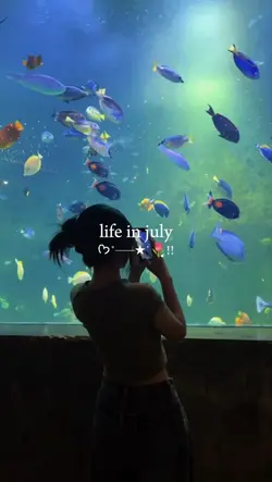 life in july