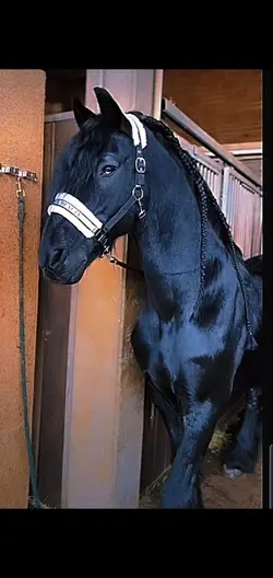 <3