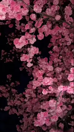 3D wallpaper
