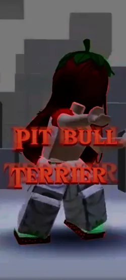 pitbull