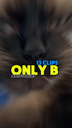 Only-B 😼😸😾👊