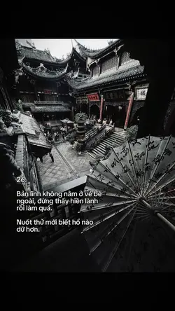 18/8 1 ảnh + caption