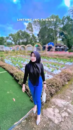 Lintang ing tawang