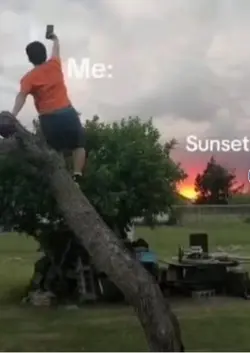 SUNSETS