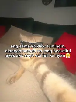 baka masilaw ka