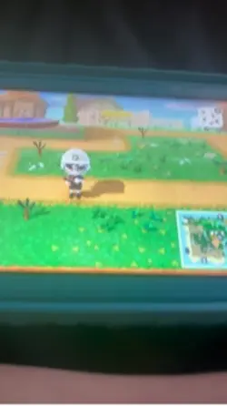 ANIMAL CROSSING 