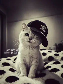 MẪU LYRICS STORY MÀU