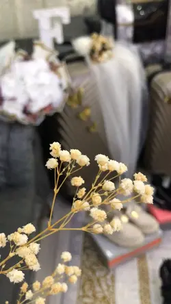 جهاز 