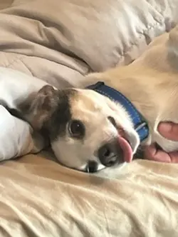:D
